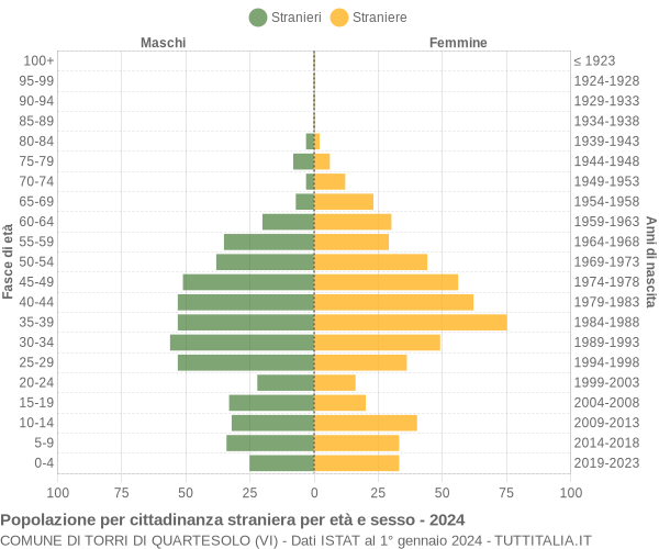 Grafico cittadini stranieri - Torri di Quartesolo 2024