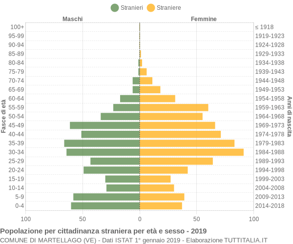 Grafico cittadini stranieri - Martellago 2019