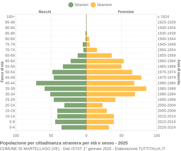 Grafico cittadini stranieri - Martellago 2025