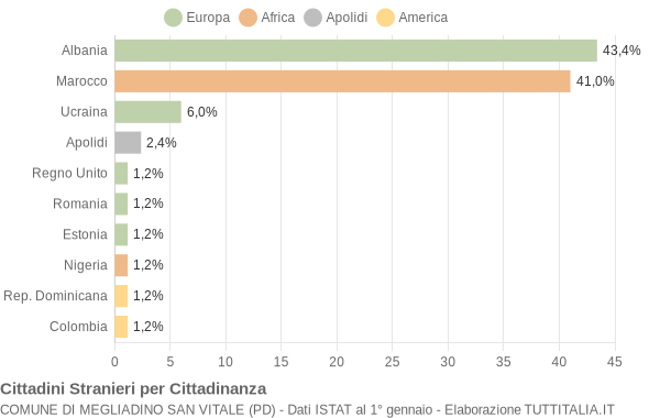 Grafico cittadinanza stranieri - Megliadino San Vitale 2004