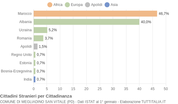 Grafico cittadinanza stranieri - Megliadino San Vitale 2007