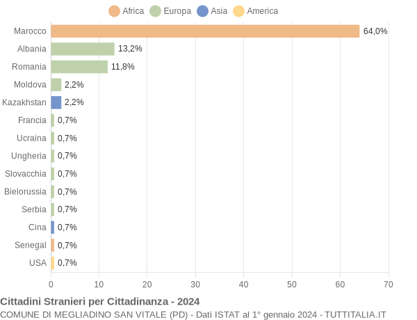 Grafico cittadinanza stranieri - Megliadino San Vitale 2024