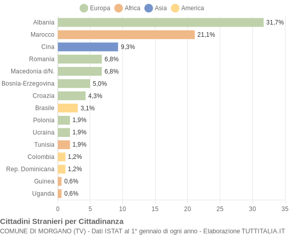 Grafico cittadinanza stranieri - Morgano 2004