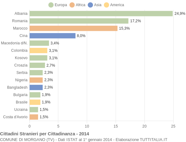 Grafico cittadinanza stranieri - Morgano 2014