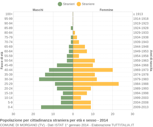 Grafico cittadini stranieri - Morgano 2014