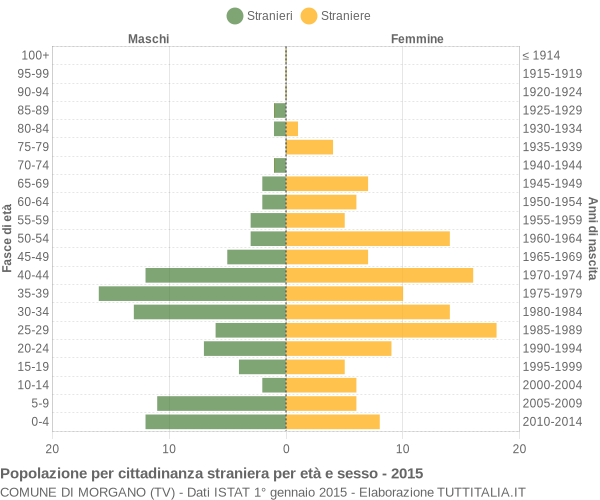 Grafico cittadini stranieri - Morgano 2015