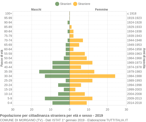 Grafico cittadini stranieri - Morgano 2019