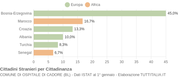 Grafico cittadinanza stranieri - Ospitale di Cadore 2005