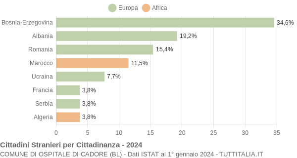 Grafico cittadinanza stranieri - Ospitale di Cadore 2024