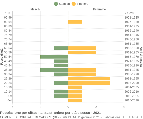 Grafico cittadini stranieri - Ospitale di Cadore 2021