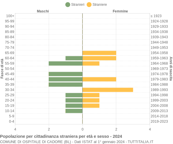 Grafico cittadini stranieri - Ospitale di Cadore 2024