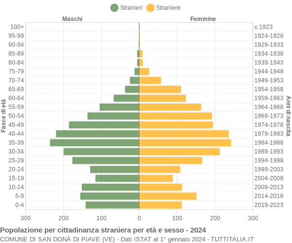 Grafico cittadini stranieri - San Donà di Piave 2024