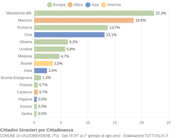 Grafico cittadinanza stranieri - Valdobbiadene 2019