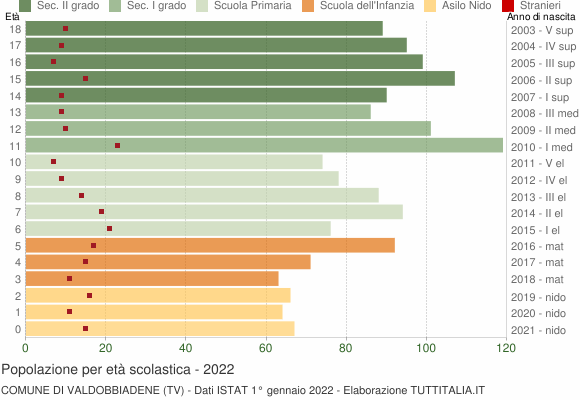 Grafico Popolazione in età scolastica - Valdobbiadene 2022