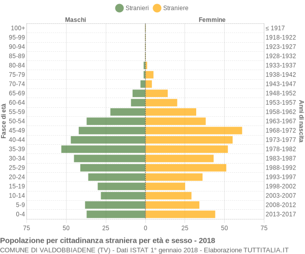 Grafico cittadini stranieri - Valdobbiadene 2018