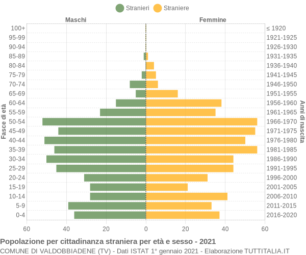 Grafico cittadini stranieri - Valdobbiadene 2021