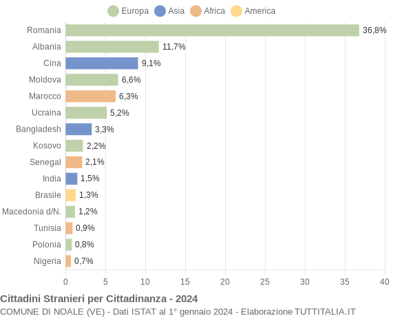 Grafico cittadinanza stranieri - Noale 2024