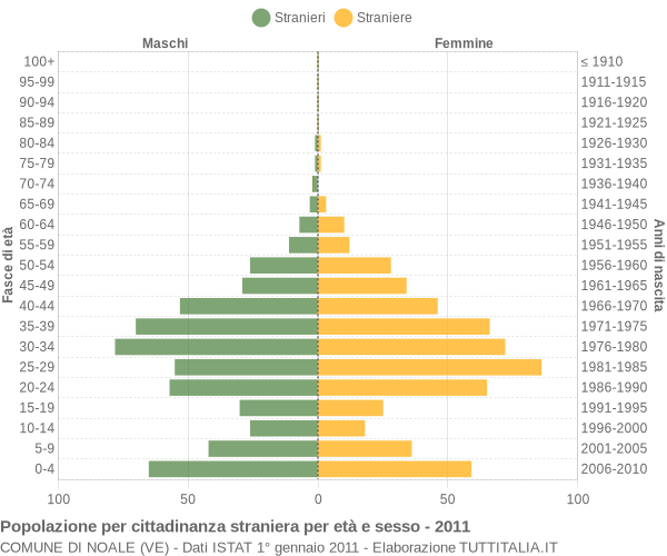 Grafico cittadini stranieri - Noale 2011