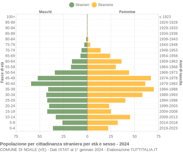 Grafico cittadini stranieri - Noale 2024