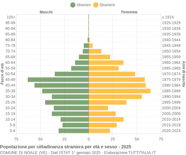 Grafico cittadini stranieri - Noale 2025