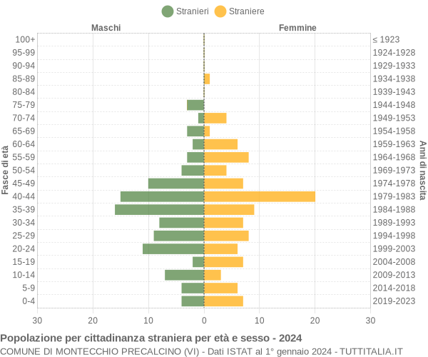 Grafico cittadini stranieri - Montecchio Precalcino 2024