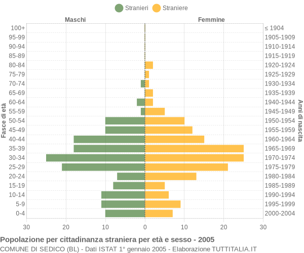 Grafico cittadini stranieri - Sedico 2005
