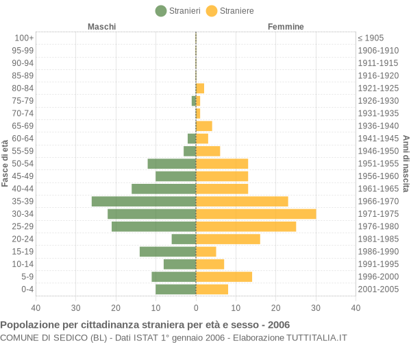 Grafico cittadini stranieri - Sedico 2006