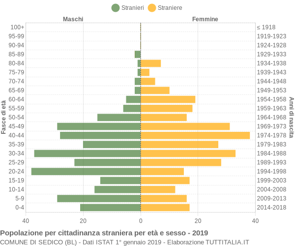 Grafico cittadini stranieri - Sedico 2019