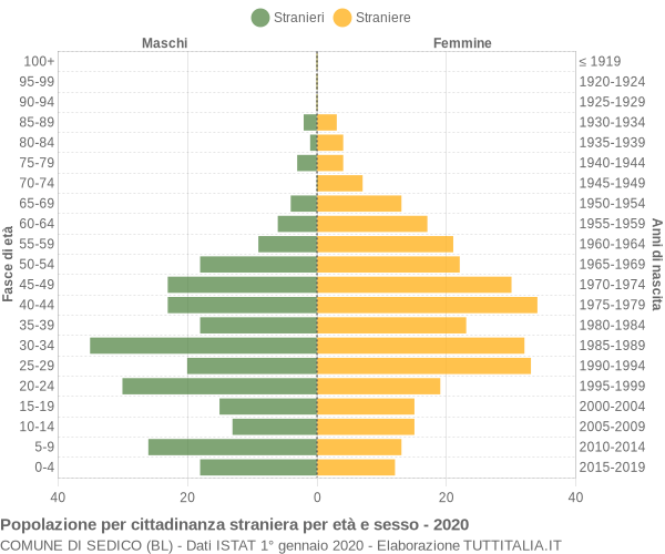 Grafico cittadini stranieri - Sedico 2020