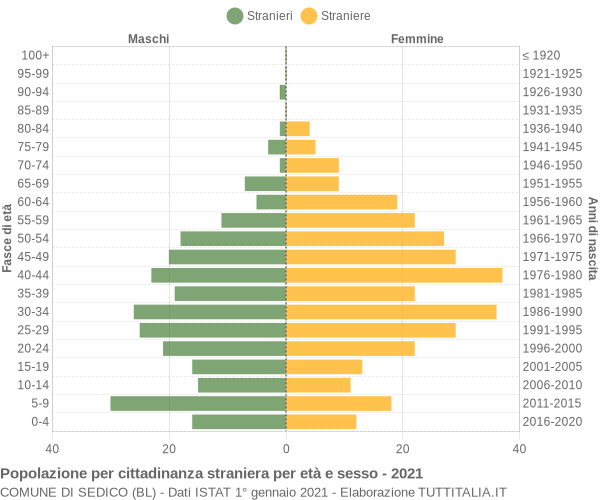 Grafico cittadini stranieri - Sedico 2021