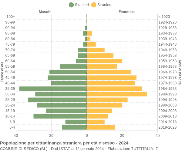 Grafico cittadini stranieri - Sedico 2024