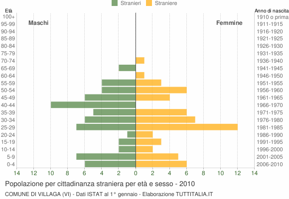 Grafico cittadini stranieri - Villaga 2010