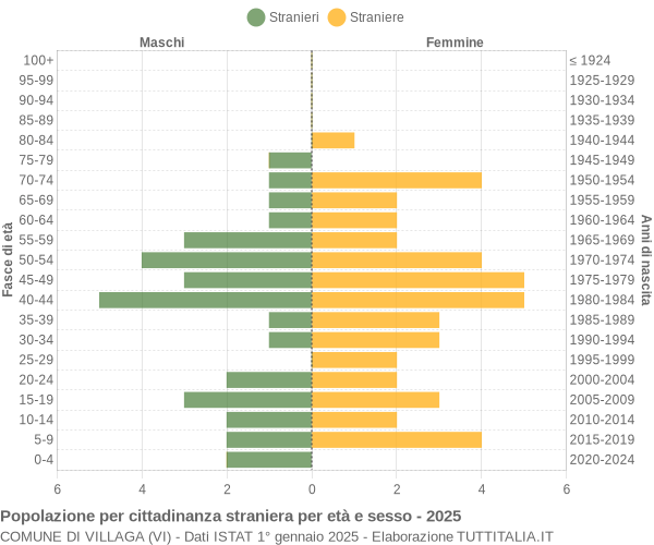 Grafico cittadini stranieri - Villaga 2025
