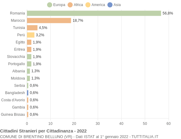 Grafico cittadinanza stranieri - Brentino Belluno 2022