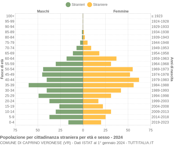 Grafico cittadini stranieri - Caprino Veronese 2024