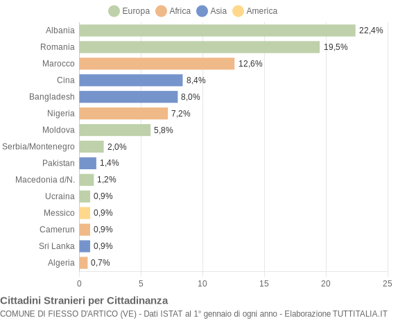 Grafico cittadinanza stranieri - Fiesso d'Artico 2008