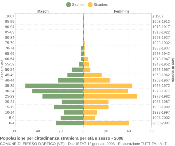 Grafico cittadini stranieri - Fiesso d'Artico 2008
