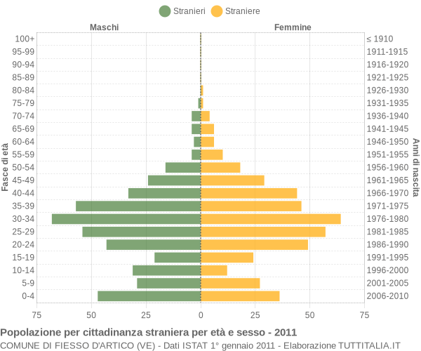 Grafico cittadini stranieri - Fiesso d'Artico 2011