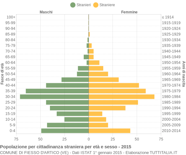 Grafico cittadini stranieri - Fiesso d'Artico 2015