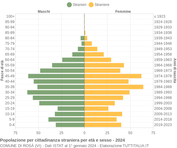 Grafico cittadini stranieri - Rosà 2024