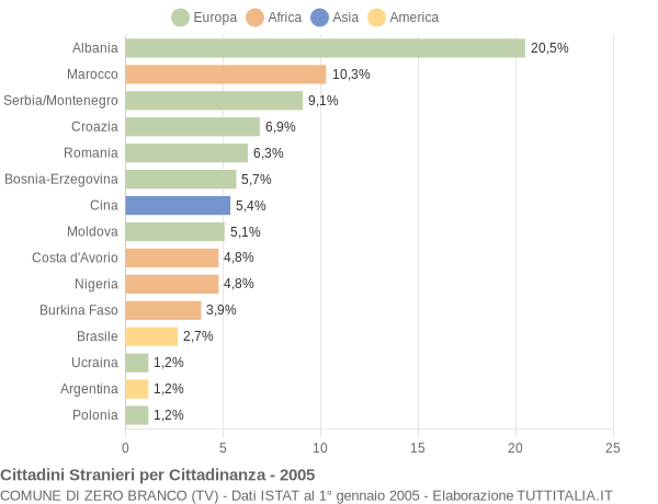 Grafico cittadinanza stranieri - Zero Branco 2005