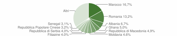 Grafico cittadinanza stranieri - Bassano del Grappa 2010