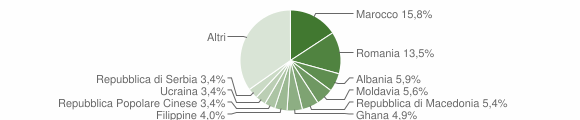 Grafico cittadinanza stranieri - Bassano del Grappa 2011