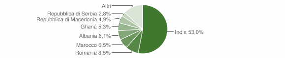 Grafico cittadinanza stranieri - Crespadoro 2010