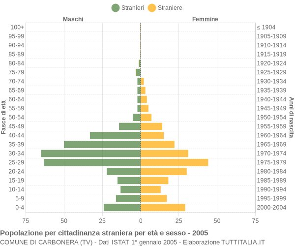 Grafico cittadini stranieri - Carbonera 2005
