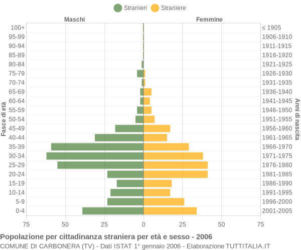 Grafico cittadini stranieri - Carbonera 2006