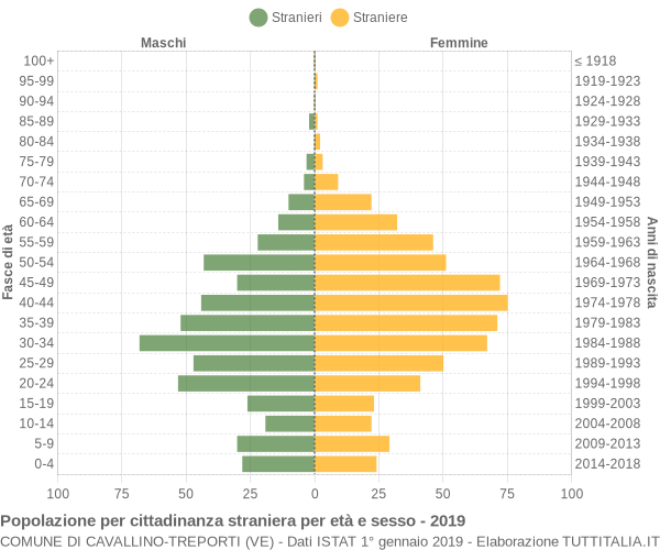 Grafico cittadini stranieri - Cavallino-Treporti 2019