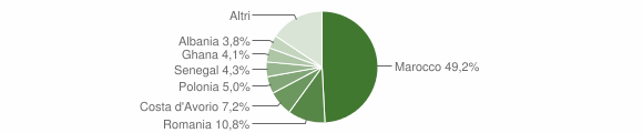Grafico cittadinanza stranieri - Minerbe 2010