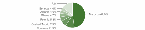 Grafico cittadinanza stranieri - Minerbe 2011
