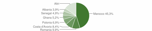 Grafico cittadinanza stranieri - Minerbe 2012